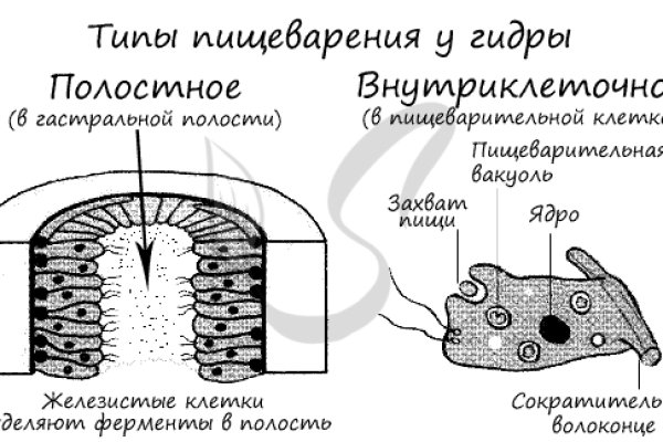 Кракен наркотики