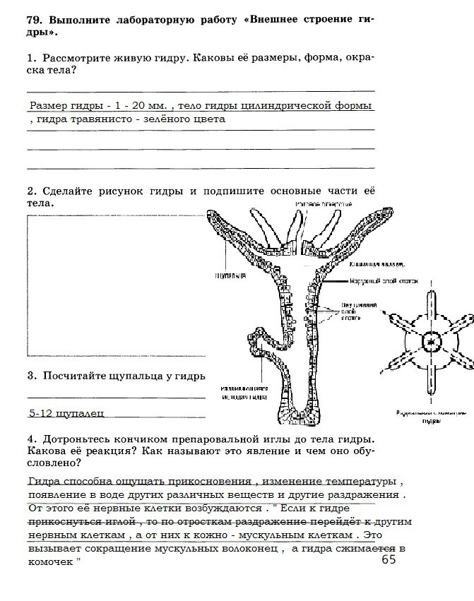 Как зайти на кракен kr2web in