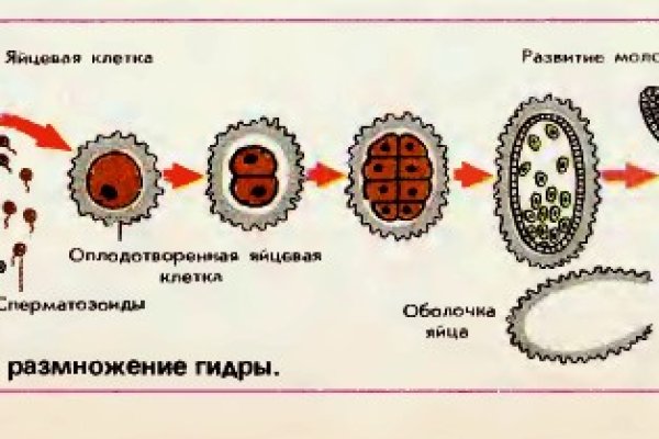 Онион сайты